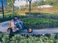 -季高兔窝窝亲子园(上海薰衣草公园店)