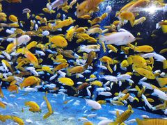 -成都浩海立方海洋公园