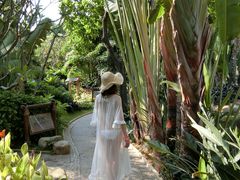 -厦门日月谷温泉渡假村