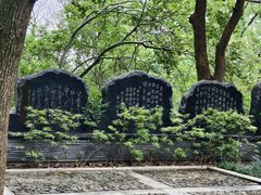 -上海佘山国家森林公园天马山园