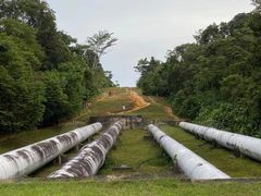 -武吉知马自然保护区