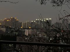 -福道