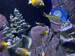 -成都浩海立方海洋公园