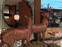 -新白鹿餐厅(虹桥南丰城店)
