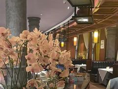 -八府香鸭·啫啫煲(华山路店)