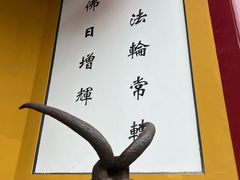 -迎江寺