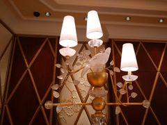 android_upload_pic-拉斯维加斯永利酒店