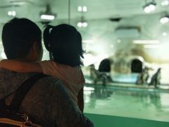 -北戴河圣蓝海洋公园
