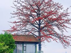 -喜洲吧·江畔老船厂·庭院餐厅(喜临院店)