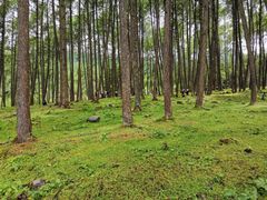 -硗碛藏寨·神木垒景区