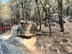 -泰山风景名胜区-普照寺