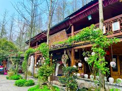 -青城甲(青城山店)