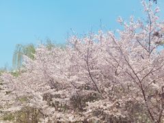 -白塘生态植物园