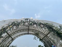 -江门古劳水乡旅游区