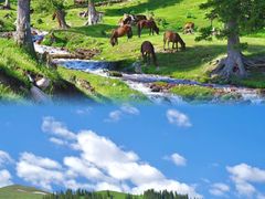 -新疆那拉提国家旅游度假区