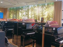 -柏斯琴行(汾阳店)