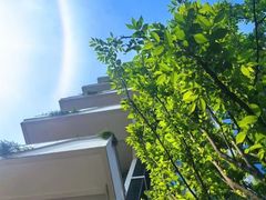 -乐山乌木文化博览苑