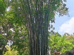 -成都杜甫草堂博物馆