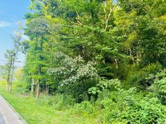 -东钱湖旅游度假区