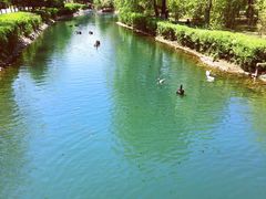 -长白岛森林公园