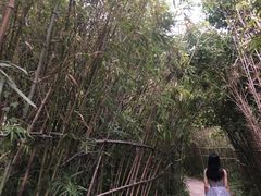-晋江五店市传统文化旅游区
