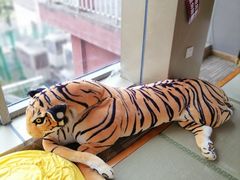 -重庆南山海昌汤都