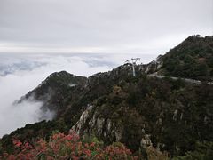 -偏爱炒鸡(老县衙店)