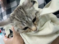 -安安宠医·臻爱宠物医院·宠保定点(营门口路分院)