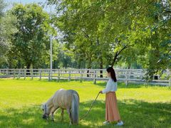 -北京群众马术培训基地