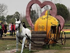 -杭州湾海上花田景区