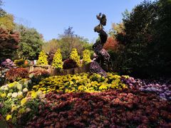 -杭州植物园
