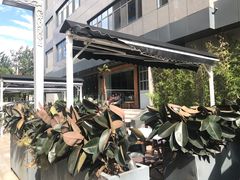 -the rug 飞毯 (朝阳公园店)
