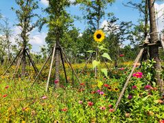 -麦当劳(金平路站店)