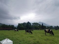 景点-瑞穗牧场