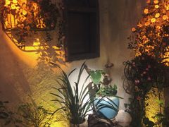 -上合花园花园烧烤(贵阳店)