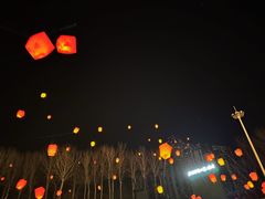 -北戴河集发农业梦想王国