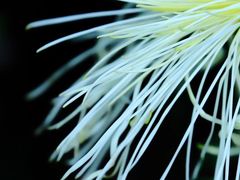 -共青国家森林公园-南大门停车场