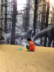 -恐龙探索乐园(磁器口店)