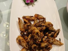 -上海德兴馆(昌里店)