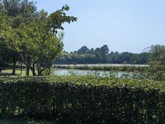 -西安浐灞国家湿地公园