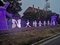 -大塘金香草谷