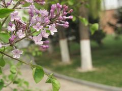 景点-裕华世纪公园