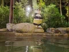 -青城道汤池
