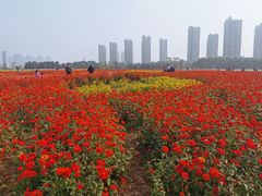 -映月湖中央公园