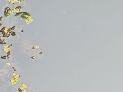 -滨河世纪广场公园