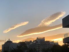 -首都医科大学宣武医院