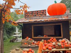 -HERRE·FARM 赫尔露营农场·团建聚会包场