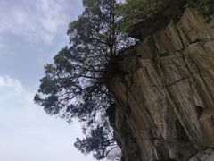 -少华山国家森林公园