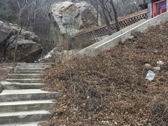 -大芦花风景区