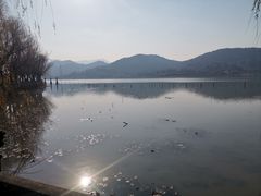 -鸣鹤古镇